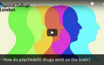 How do psychedelic drugs work on the brain?