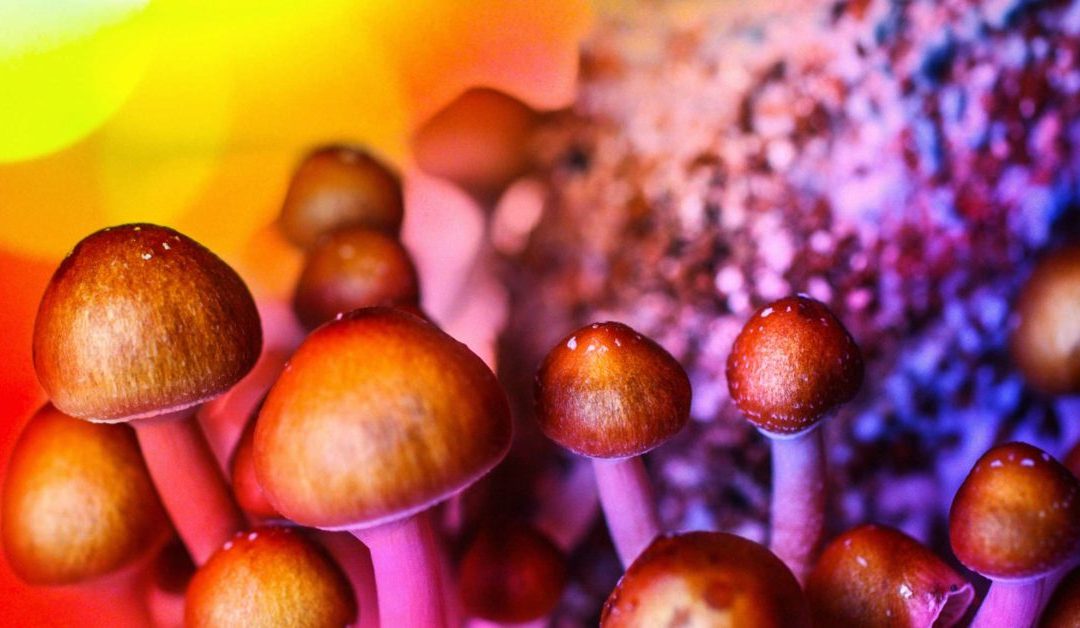 Psilocybin for Depression: Could Magic Mushrooms Replace Pharmaceutical Medications?