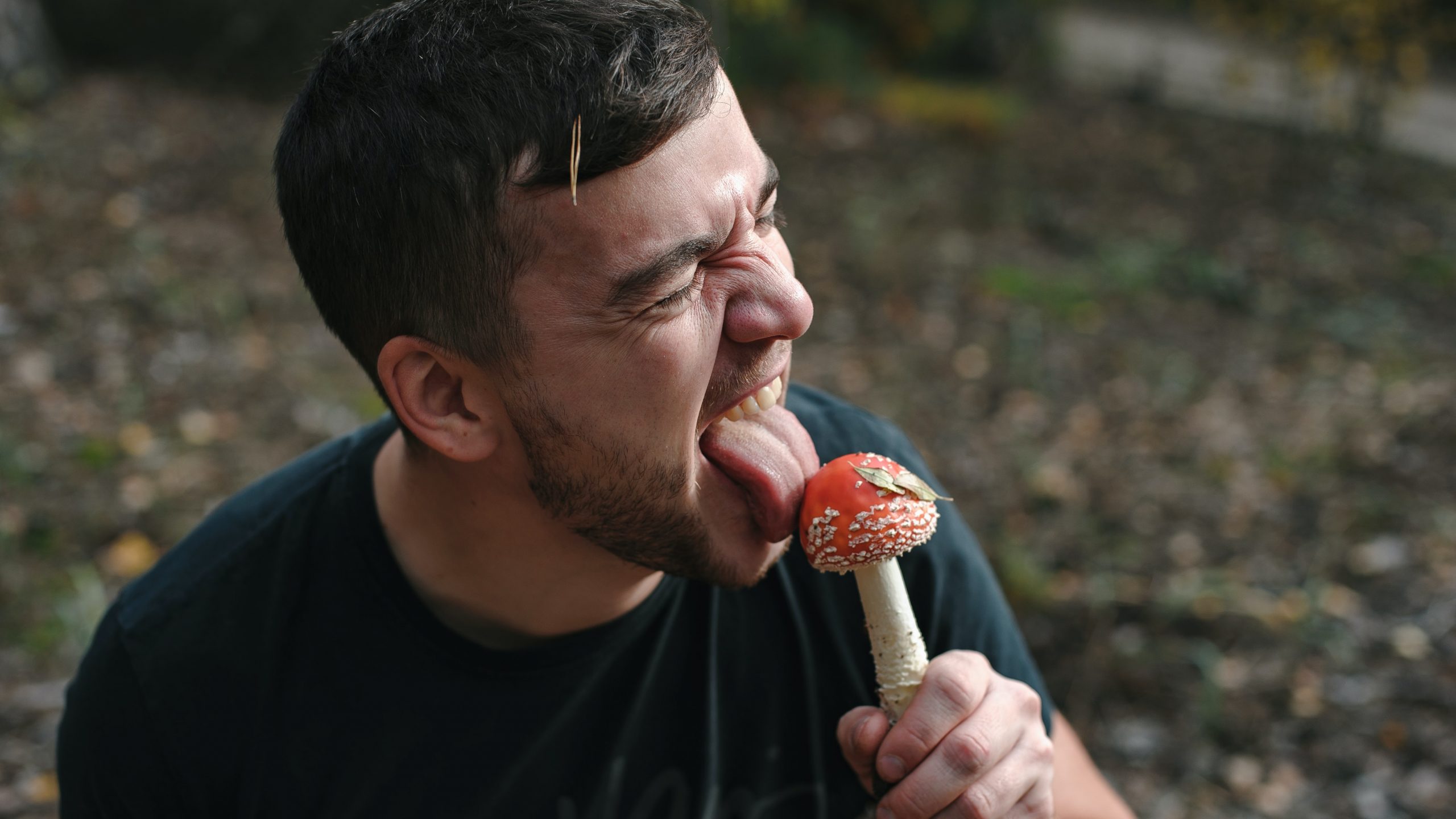 How to Eat Shrooms