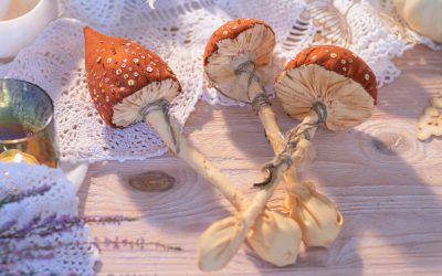 How Much Shrooms To Take: How to Calculate Magic Mushroom Dosage